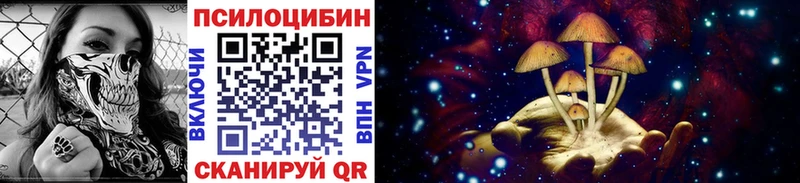 Галлюциногенные грибы MAGIC MUSHROOMS  kraken   Сычёвка 